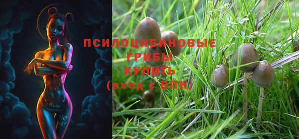 ешки Алексеевка