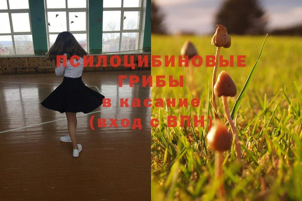 меф Алзамай