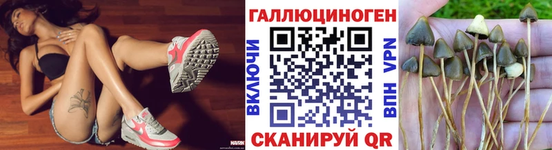 хочу   Нефтекамск  Псилоцибиновые грибы GOLDEN TEACHER 