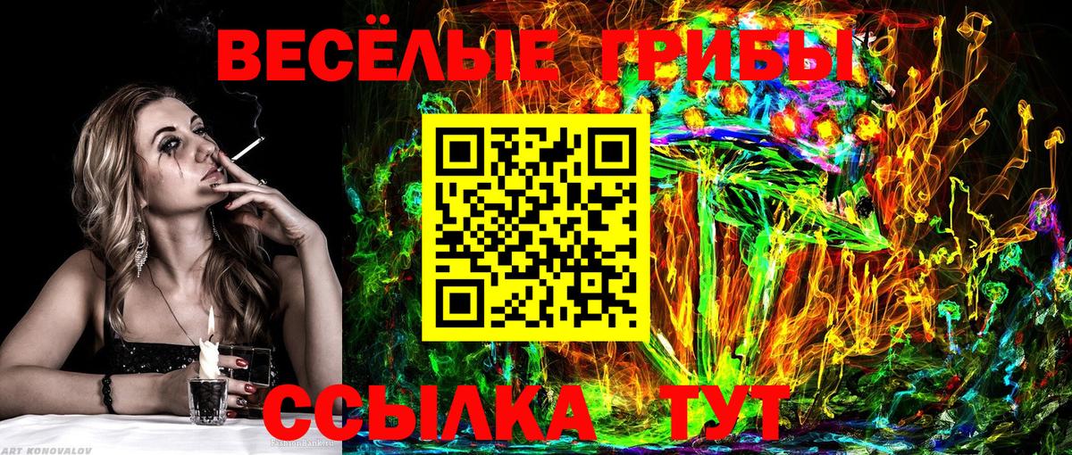 Галлюциногенные грибы Psilocybine cubensis  Вход с VPN  Нефтекамск 
