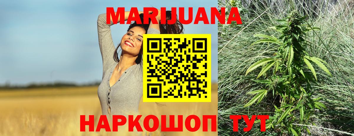 Конопля Bruce Banner  Вход с VPN  Бошки Шишки конопля  Нефтекамск  Конопля план 